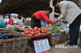 市場監測顯示 食用農產品價格總體平穩，生產資料價格呈上行態勢