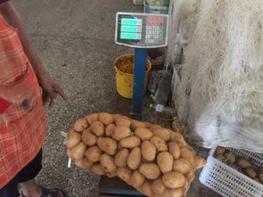 金鼎商貿(mào)城食用農(nóng)產(chǎn)品快檢結果公示